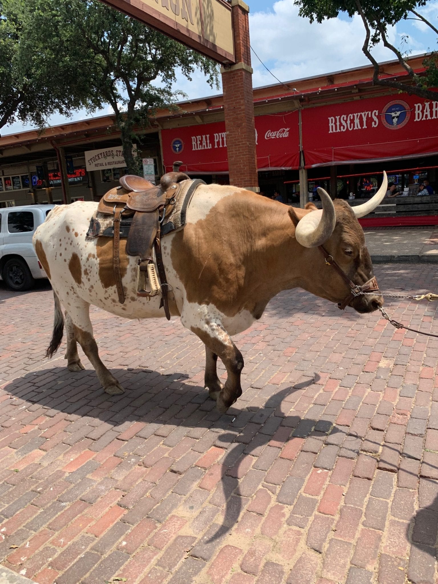 IMG 2479 e1564168768198